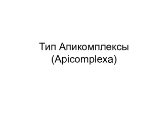 Тип Апикомплексы