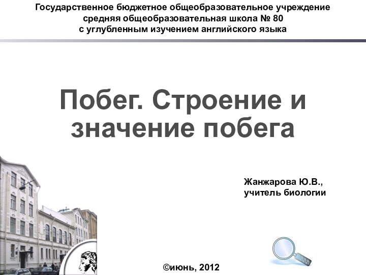 Государственное бюджетное общеобразовательное учреждение средняя общеобразовательная школа № 80с углубленным изучением английского