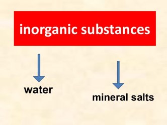 Inorganic substances. Water. Mineral salts