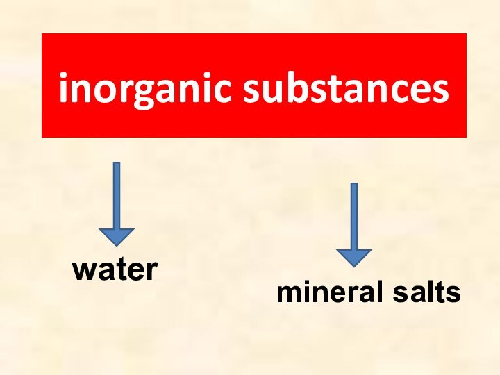 inorganic substanceswatermineral salts