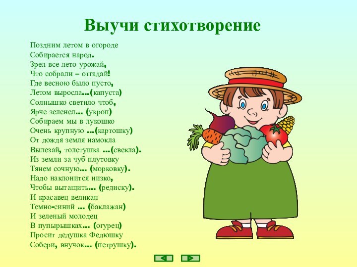 Выучи стихотворениеПоздним летом в огородеСобирается народ.Зрел все лето урожай, Что собрали –