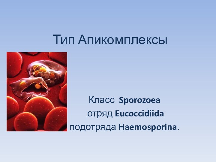 Тип АпикомплексыКласс  Sporozoea отряд Eucoccidiida подотряда Haemosporina.