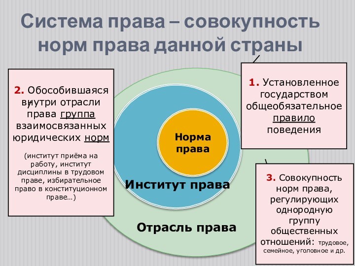 Норма праваОтрасль праваИнститут права2. Обособившаяся внутри отрасли права группа взаимосвязанных юридических норм(институт