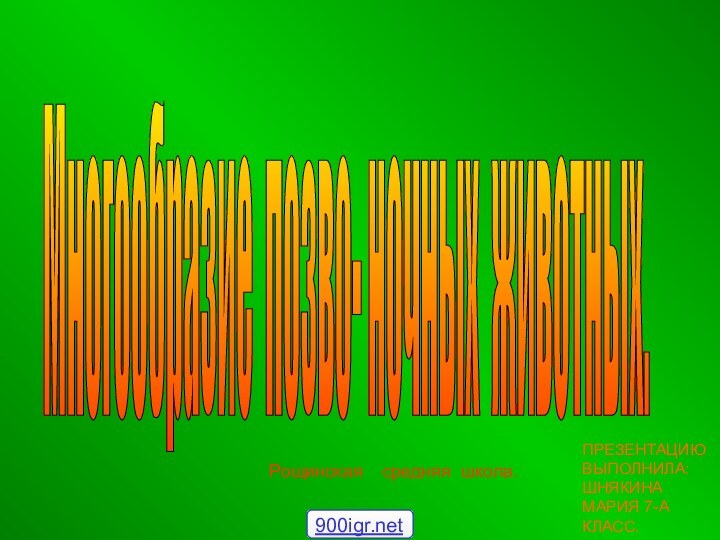 Многообразие позво- ночных животных. Рощинская  средняя школа.ПРЕЗЕНТАЦИЮ ВЫПОЛНИЛА: ШНЯКИНА МАРИЯ 7-А КЛАСС.