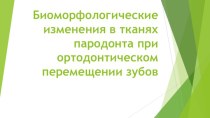 Биоморфологические изменения в тканях пародонта при ортодонтическом перемещении зубов