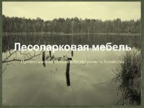 Лесопарковая мебель. Презентация по основам лесопаркового хозяйства