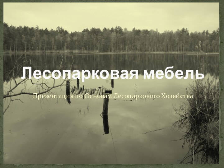 Презентация по Основам Лесопаркового ХозяйстваЛесопарковая мебель