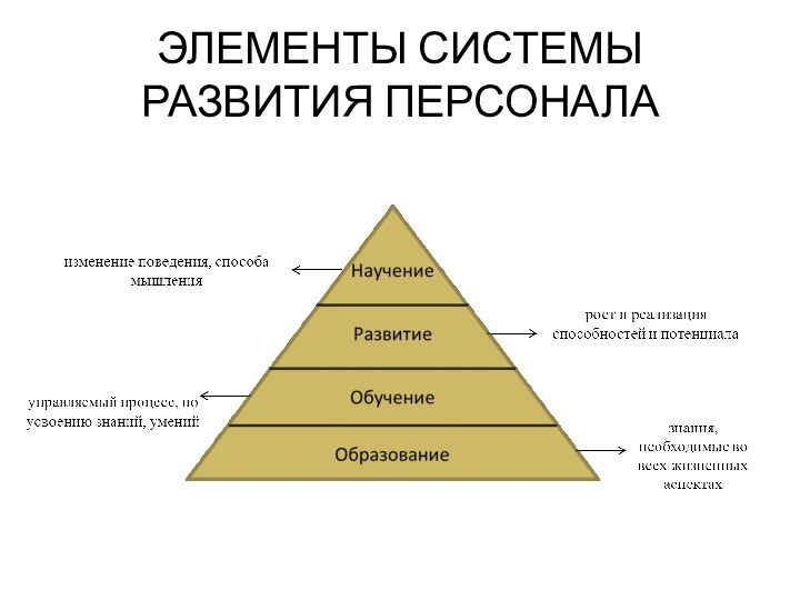 ЭЛЕМЕНТЫ СИСТЕМЫ РАЗВИТИЯ ПЕРСОНАЛА