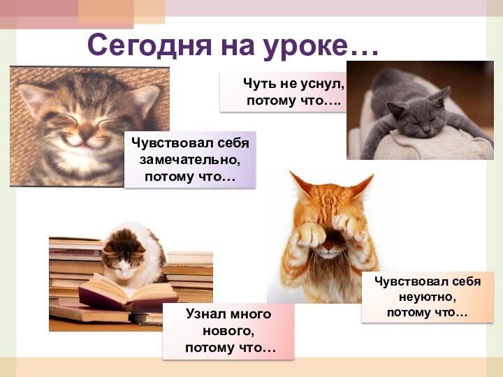 Сегодня на уроке…Чуть не уснул, потому что….Чувствовал себя