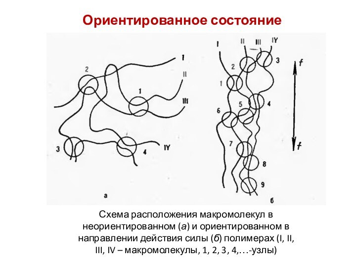 Ориентированное состояние полимеровСхема расположения макромолекул в неориентированном (а) и ориентированном в направлении