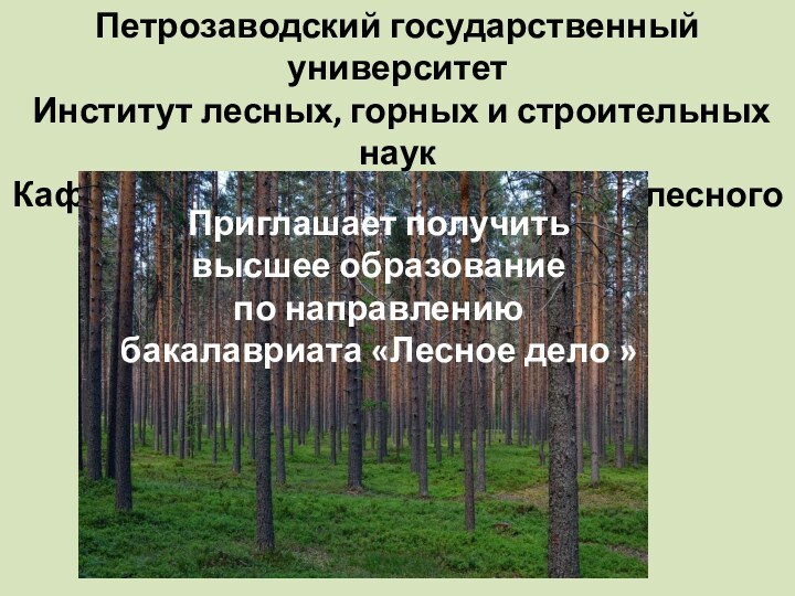 Петрозаводский государственный университет Институт лесных, горных и строительных наукКафедра технологии и организации лесного