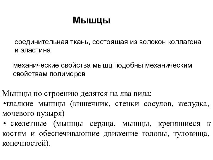 Мышцысоединительная ткань, состоящая из волокон коллагена и эластинамеханические свойства мышц подобны механическим