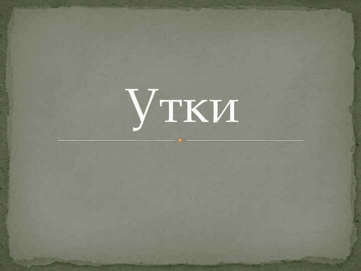 Утки