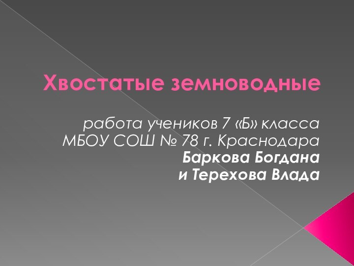 Хвостатые земноводныеработа учеников 7 «Б» класса МБОУ СОШ № 78 г. КраснодараБаркова Богдана и Терехова Влада