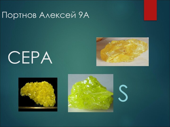 Портнов Алексей 9А    СЕРА  S