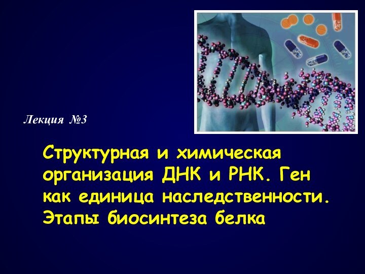 Лекция №3		Структурная и химическая организация ДНК и РНК. Ген как единица наследственности. Этапы биосинтеза белка
