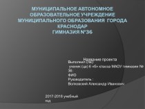 Проект Подушка