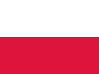 Suspension the voting rights of Poland in the EU Parliament. Implementation of sanctions against Poland