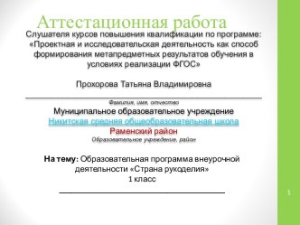 Аттестационная работа. Образовательная программа внеурочной деятельности Страна рукоделия 1 класс