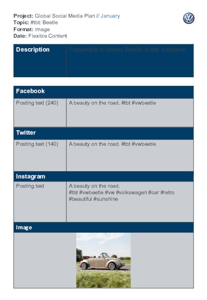 Project: Global Social Media Plan // January Topic: #tbt: Beetle  Format: