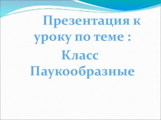 Класс паукообразные