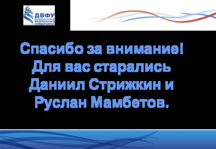 Спасибо за внимание!Для вас старались Даниил Стрижкин и Руслан Мамбетов.