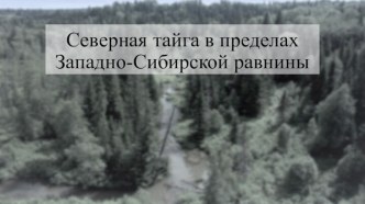 Северная тайга в пределах Западно-Сибирской равнины