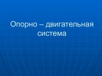 Опорно – двигательная система