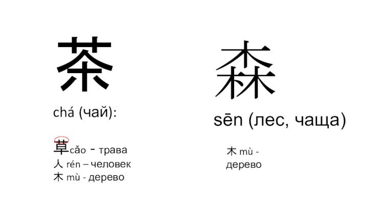 茶  chá (чай):草cǎo - трава人 rén – человек木 mù - дерево森sēn