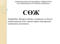 Жоғарғы еріннің, таңдайдың туа біткен жырықтарының және сыртқы мұрын ақауларының клиникалық анатомиясы