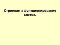 Строение и функционирование клеток