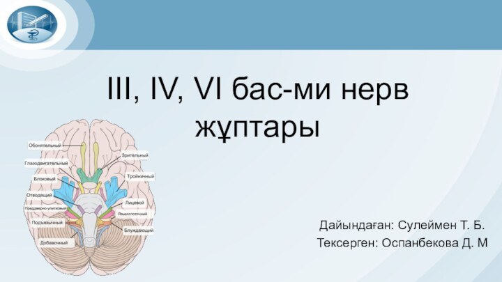 III, IV, VI бас-ми нерв жұптарыДайындаған: Сулеймен Т. Б.Тексерген: Оспанбекова Д. М