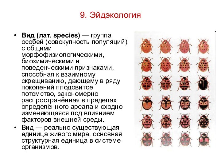 9. Эйдэкология Вид (лат. species) — группа особей (совокупность популяций) с общими