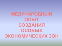 Международный опыт создания ОЭЗ