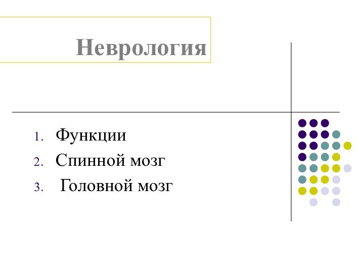 НеврологияФункцииСпинной мозг Головной мозг