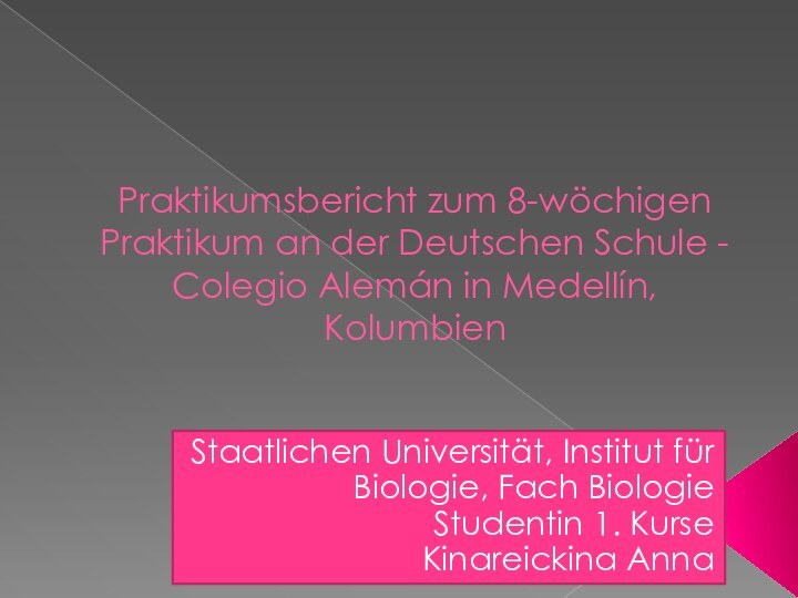 Praktikumsbericht zum 8-wöchigen Praktikum an der Deutschen Schule - Colegio Alemán in