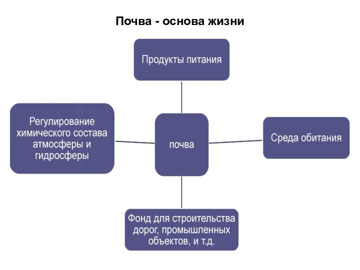 Почва - основа жизни