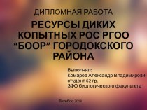 Ресурсы диких копытных РОС РГОО “БООР” Городокского района