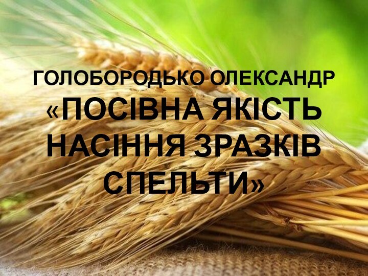 ГОЛОБОРОДЬКО ОЛЕКСАНДР «ПОСІВНА ЯКІСТЬ НАСІННЯ ЗРАЗКІВ СПЕЛЬТИ»