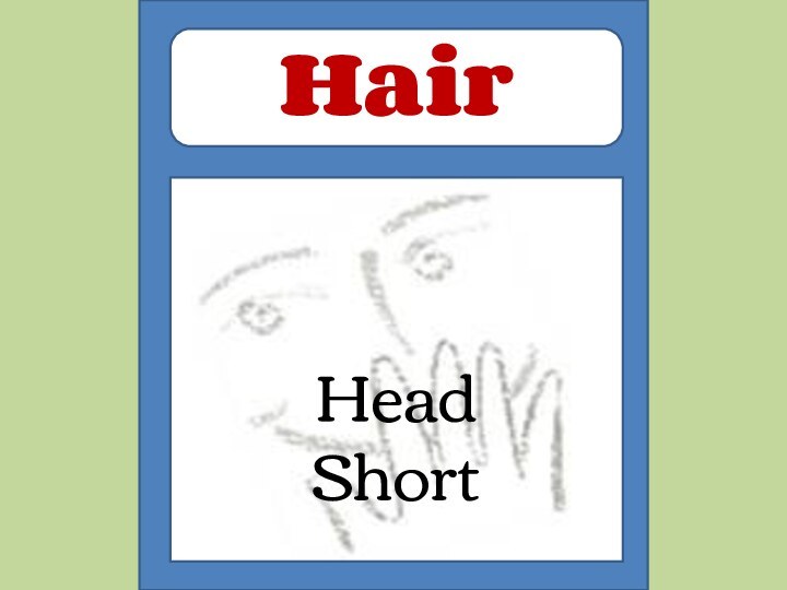 Head Short  Hair