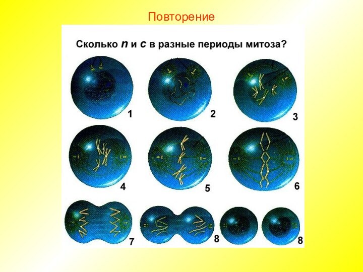 Повторение