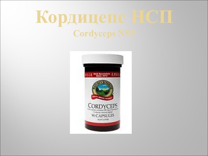 Кордицепс НСП Cordyceps NSP