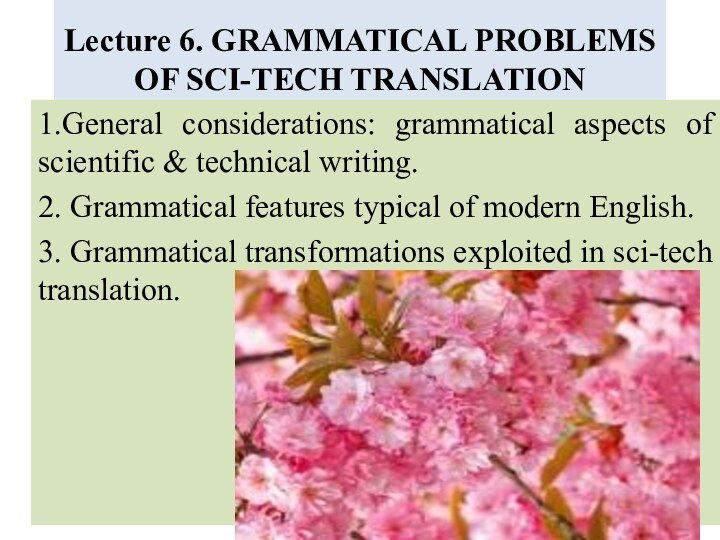 Lecture 6. GRAMMATICAL PROBLEMS OF SCI-TECH TRANSLATION 1.General considerations: grammatical aspects