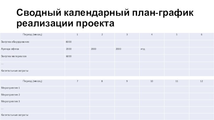 Сводный календарный план-график реализации проекта