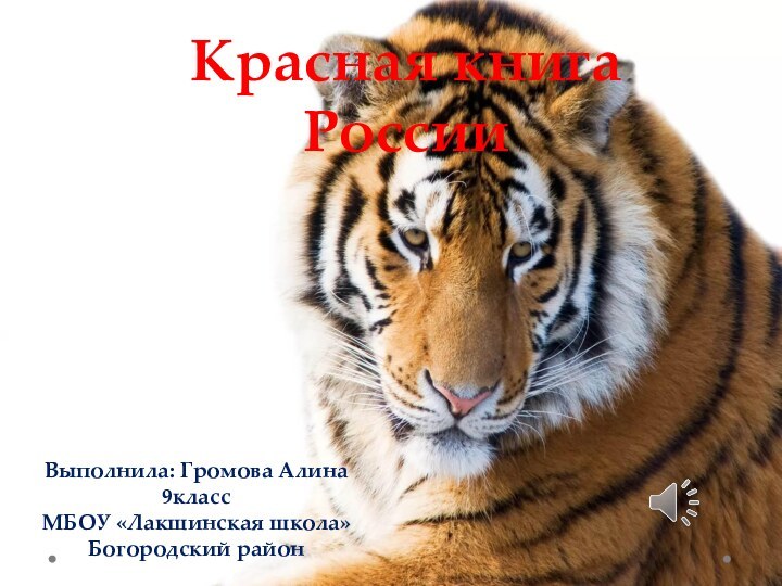 Красная книгаРоссииВыполнила: Громова Алина 9классМБОУ «Лакшинская школа»Богородский район