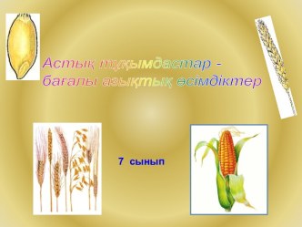 Астық тұқымдастар - бағалы азықтық өсімдіктер