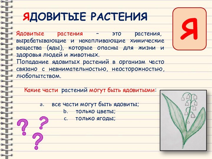 ЯЯДОВИТЫЕ РАСТЕНИЯЯдовитые растения – это растения, вырабатывающие и накапливающие химические вещества (яды),