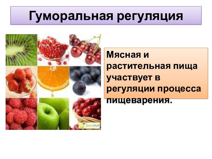 Гуморальная регуляцияМясная и растительная пища участвует в регуляции процесса пищеварения.