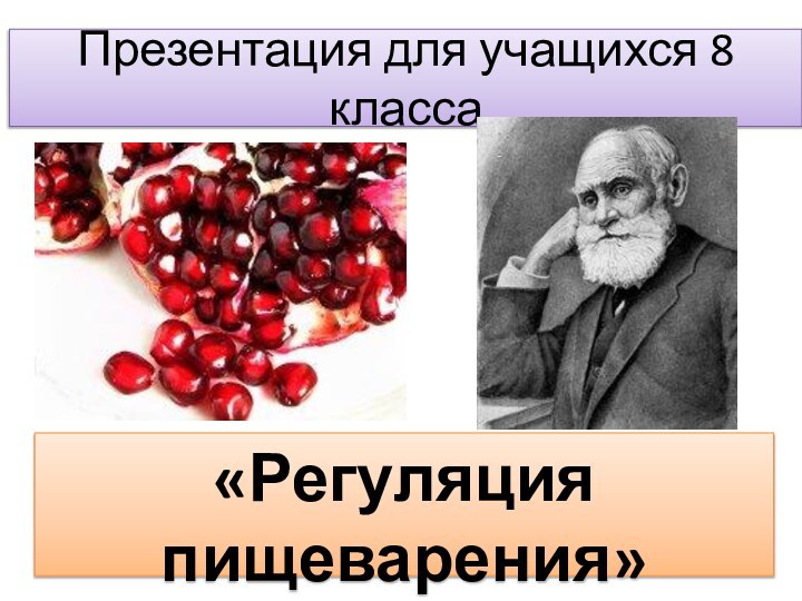 Презентация для учащихся 8 класса«Регуляция пищеварения»