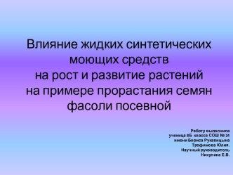 Влияние жидких синтетических моющих средств на рост и развитие растений на примере прорастания семян фасоли посевной